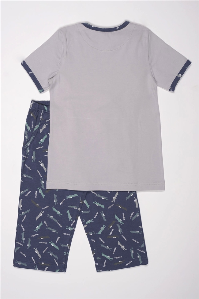 Baykar Erkek Çocuk Dinazor Baskılı Pijama Takımı 9735 Gri Melanj